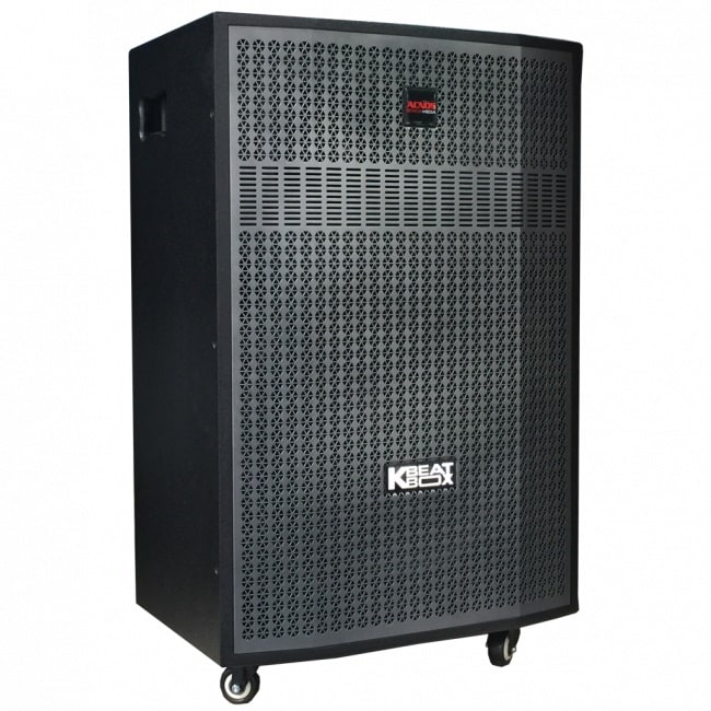 Loa karaoke ACNOS CB56G