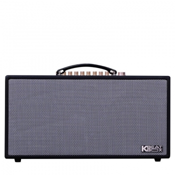 Loa Acnos CS450SR