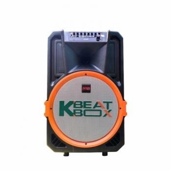 Loa Acnos KB39X