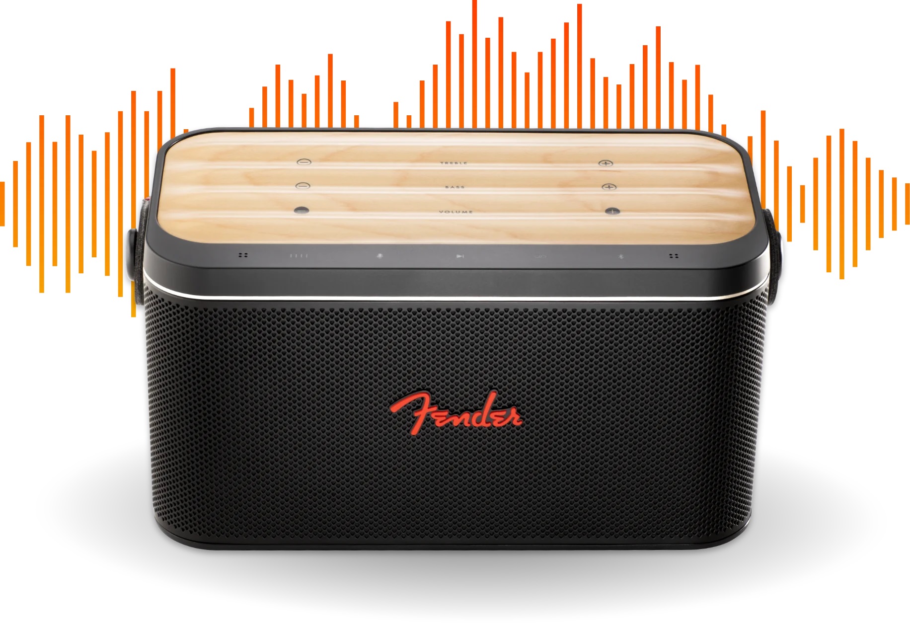 thiết kế của Loa Fender Riff