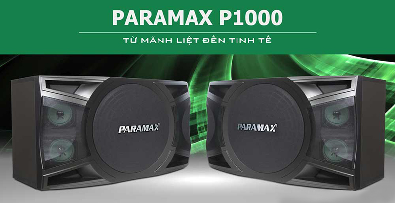 công suất của loa karaoke Paramax P1000
