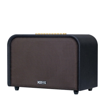 Loa Acnos Acoustic 3